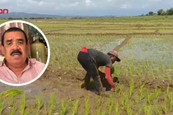 El agrónomo Adriano Sánchez Roa durante declaraciones en las que pidió apoyo urgente para agricultores afectados por las lluvias.