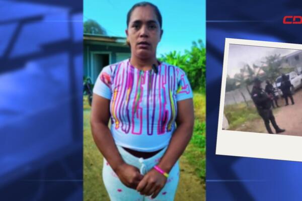 Mujer denuncia violenta irrupción de la Dicrim en Santiago.
