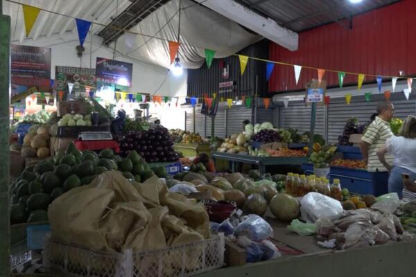 Aseguran que alta producción de plátanos permite que comercios los vendan a 10 y 15 pesos la unidad