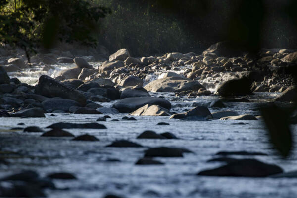 Fotografía donde se muestra el cause del río Orosi, en la reserva natural de Tapanti, en la provincia de Cartago (Costa Rica). EFE/ Jeffrey Arguedas