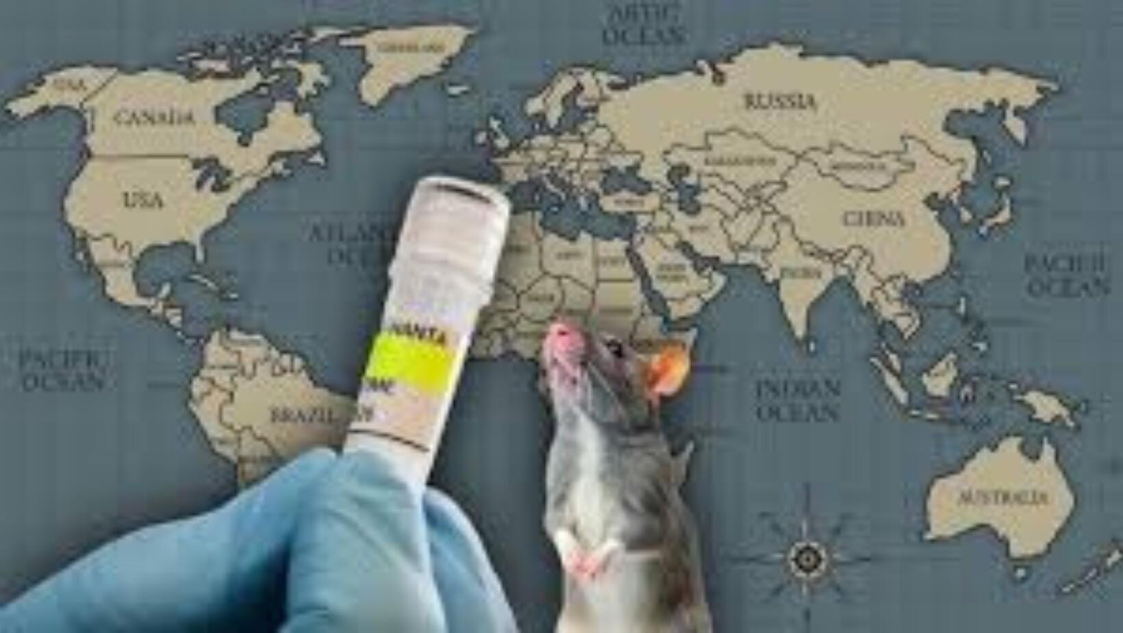 Países afectados por hantavirus