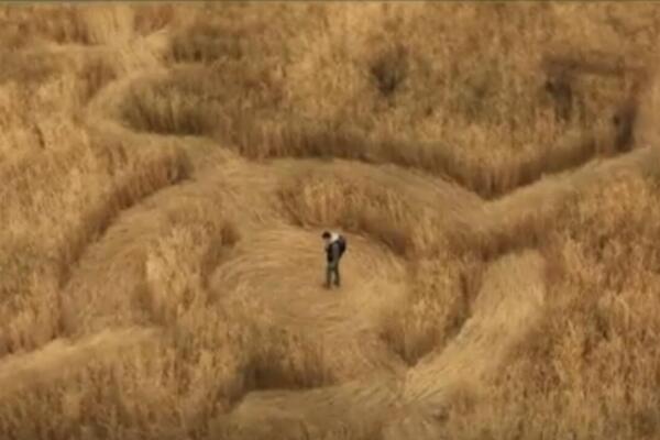 La película pone sobre la mesa lo que pasaría si la humanidad descubre que hay vida fuera de la Tierra. (Captura de video)