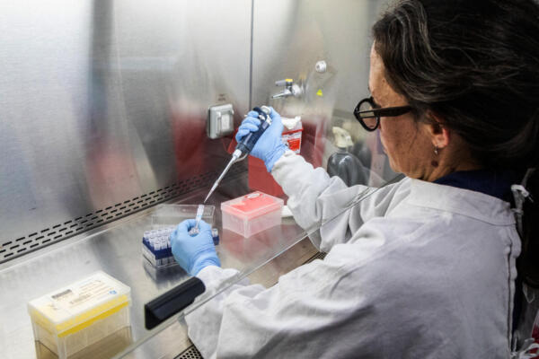Esta fotografía, distribuida por el Ministerio de Salud de Argentina, muestra a un científico del Instituto Malbran manipulando contenedores utilizados para diagnosticar el hantavirus andino, que contienen ARN del virus como parte del proceso de detección, en Buenos Aires el 6 de mayo de 2026. (Foto: Distribución / MINISTERIO DE SALUD DE ARGENTINA / AFP)
