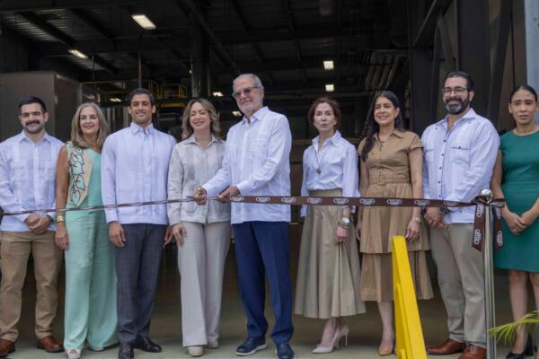 Nueva planta de cacao 