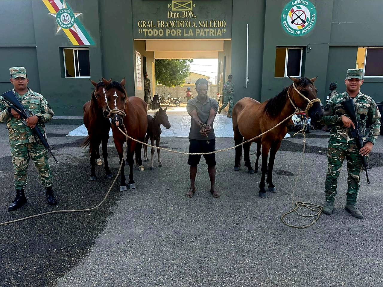 Ejército recupera animales