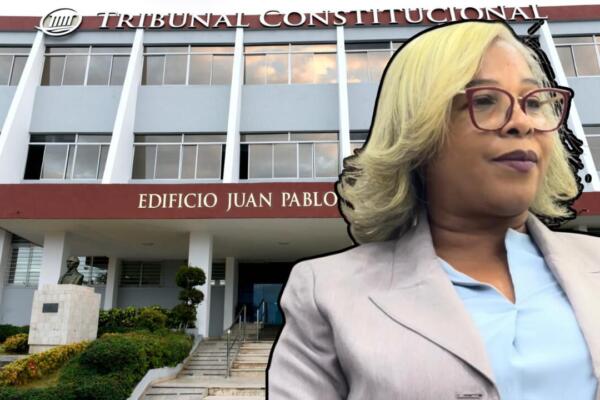 La jurista Pablita Cabrera sometió una acción directa de inconstitucionalidad contra dos artículos de la Ley 30-26, por considerar que limitan el acceso a la justicia.