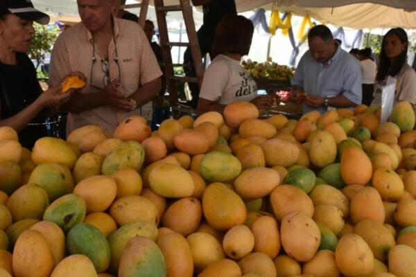 Decenas de personas continúan visitando la feria de mango en Baní