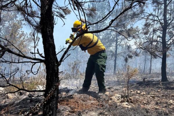 Incendio en Sierra de Bahoruco, 70% del perímetro controlado