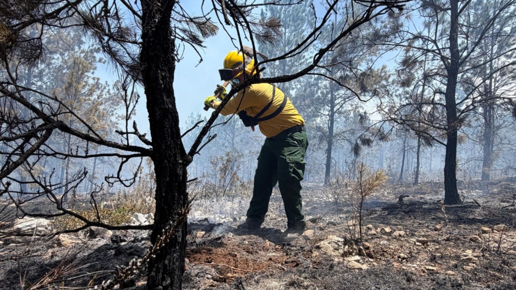 Incendio en Sierra de Bahoruco