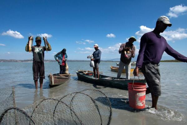 Dijeron que el drenaje del citado acuífero está afectando las especies que habitan en el lugar, las cuales terminan desplazándose hacia el lago Enriquillo. Foto: Imagen de archivos