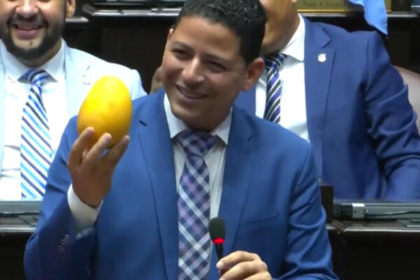 Diputado del PRM denuncia que productores de mango en Baní están al borde de la quiebra