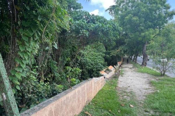 Un tramo de la verja perimetral del Parque Mirador Norte / Foto: externa 