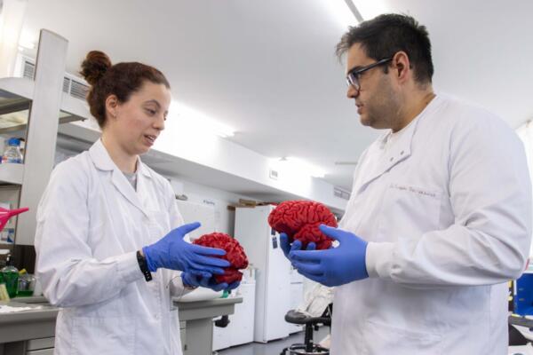 Natalia Varela Andrés, coautora principal del estudio, y Rubén Deogracias, director de la investigación de la USAL recién publicada en Molecular Psychiatry. Crédito: Raquel J. Santos (Comunicación USAL).