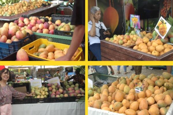 Expo Mango 2026 en Baní impulsa exportaciones y turismo.
