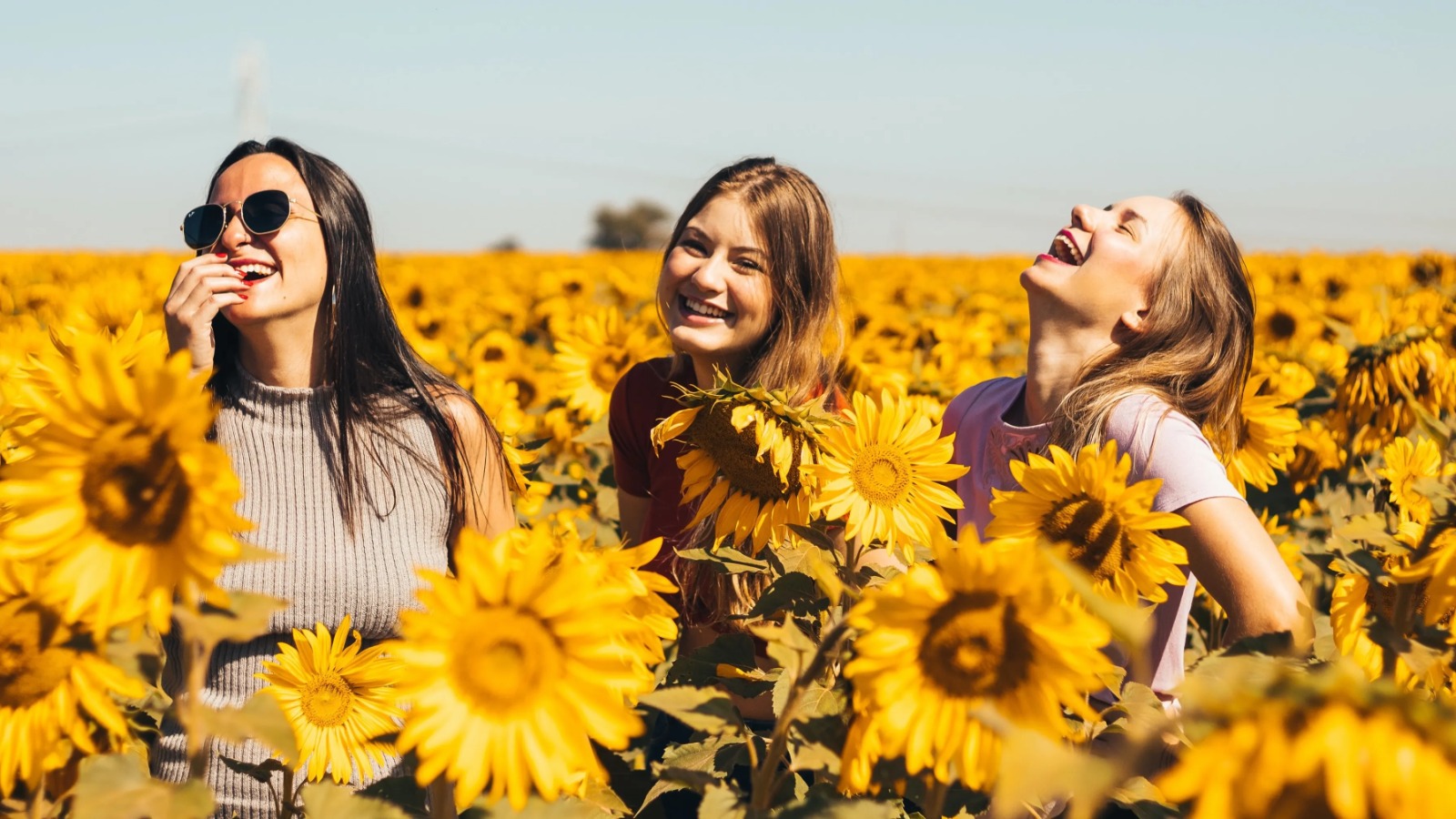 Yellow Day: ¿por qué se considera el día más feliz del año?