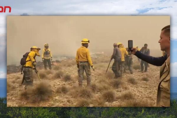 Incendio se reactiva en Sierra de Bahoruco; alarma ecológica.