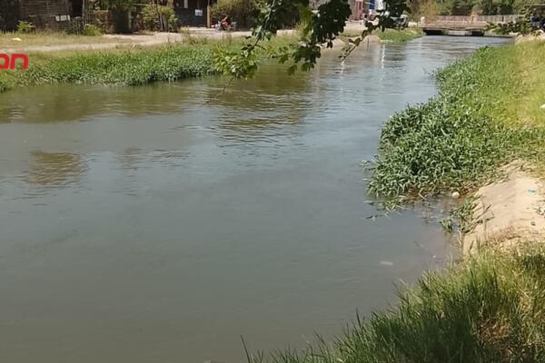 Encuentran muerto a joven haitiano en canal de Santiago Oeste.