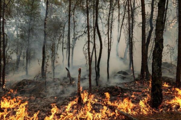 Los incendios alcanzan cifras inéditas en Francia, con 200.000 evacuados en el suroeste