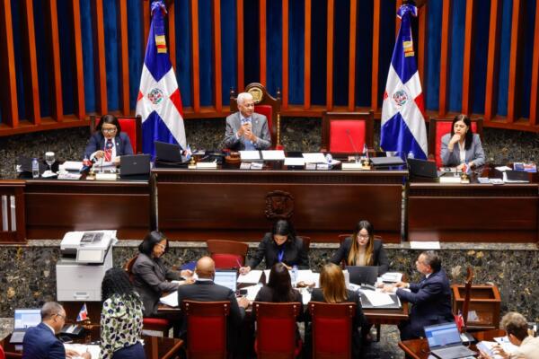 Senado aprueba creación de Instituto de Custodia para víctimas de violencia de género
