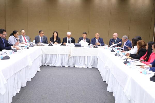 Crean subcomisión para concluir el Código Penal; podría ser aprobado este jueves