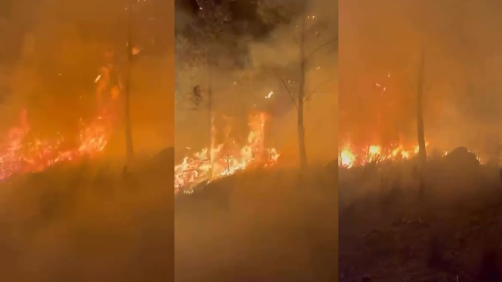 Incendio en Parque Nacional Valle Nuevo