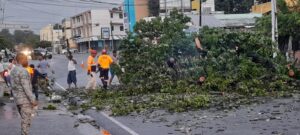 En la comunidad La Herradura, la caída de postes del tendido eléctrico, dejó sin energía a sectores de los distritos municipales de La Canela y Hato del Yaque.