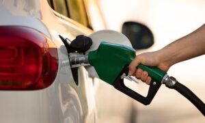 Precios de los combustibles mantienen su precio una semana más