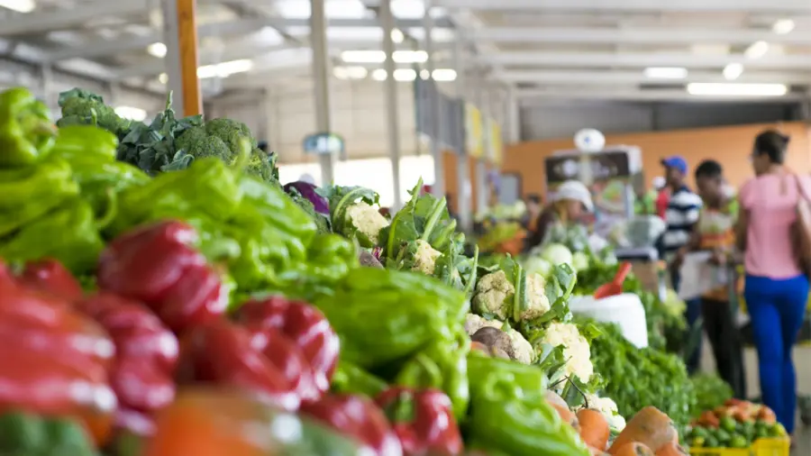 Alzas en productos y servicios obligan a modificar formas de vida