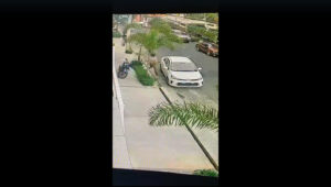 Video: Ladrones en Evaristo Morales rompen los vidrios de vehículos estacionados