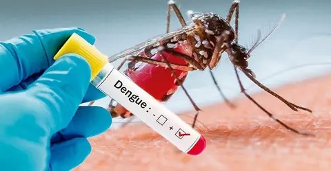Cuba reporta en una semana 4 veces más casos de dengue que primer semestre