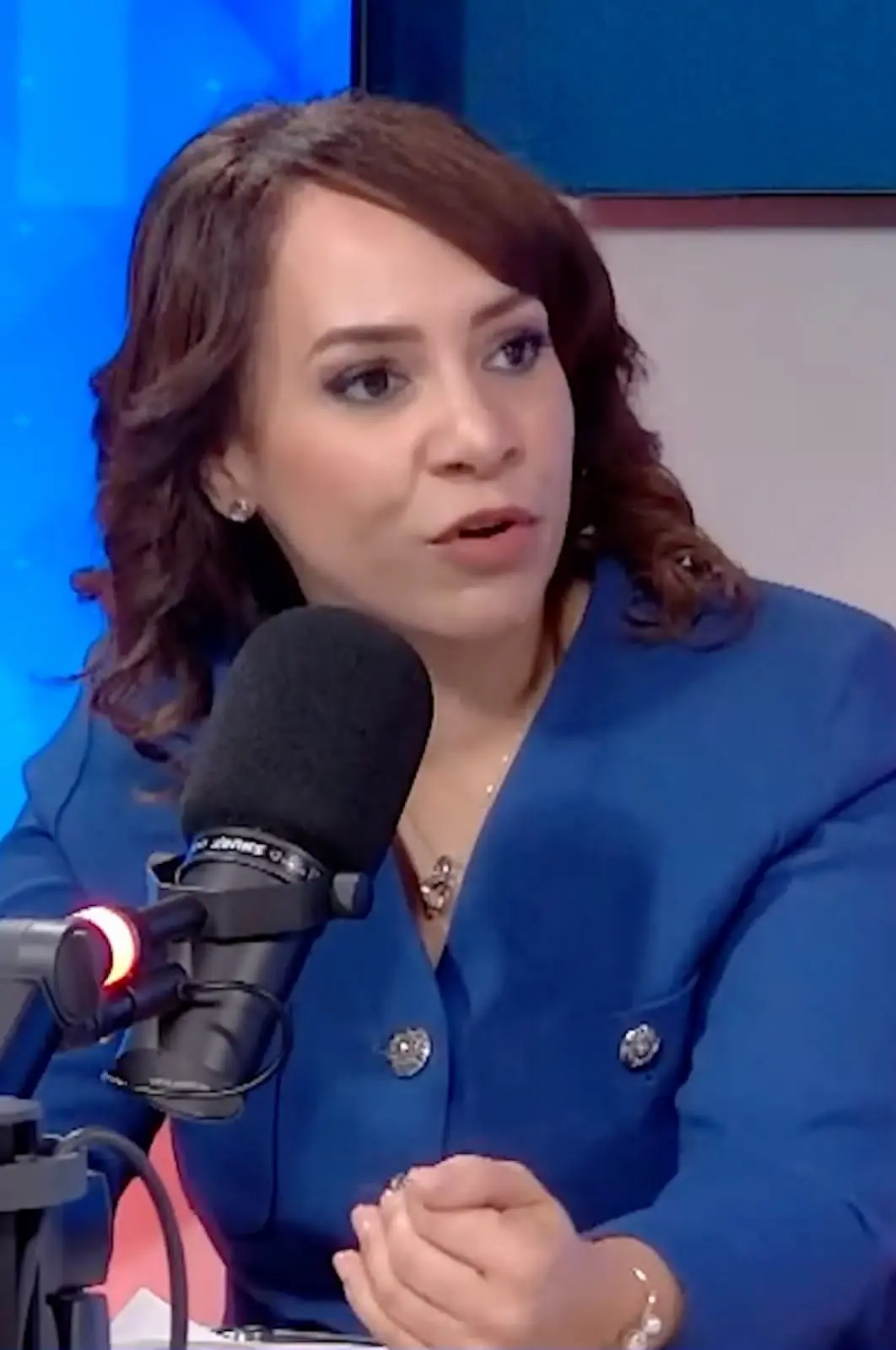 Karen Ricardo, aspirante a la presidencia de la República por el Partido de la Liberación Dominicana (PLD),