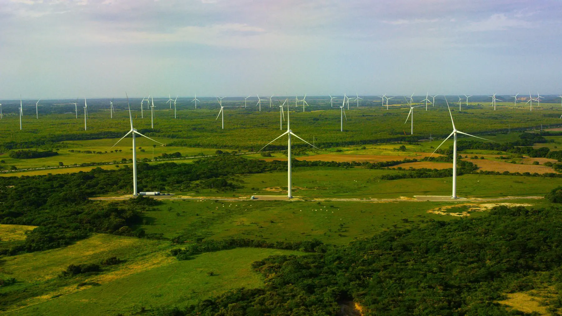 InterEnergy y CEPM presentan compromiso de descarbonización total
