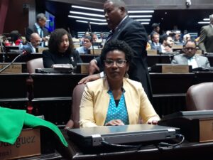 Diputada afirma voto manual seria un retroceso para RD