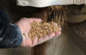 Rusia dice recibió garantías de ONU antes de prolongar acuerdo de grano
