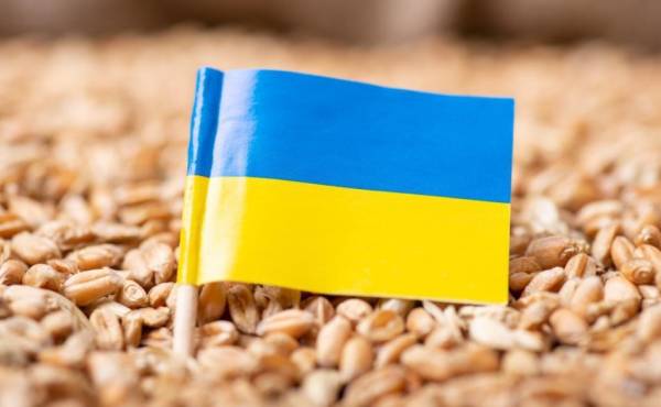 Ucrania exportó 800.000 toneladas de alimentos en la última semana