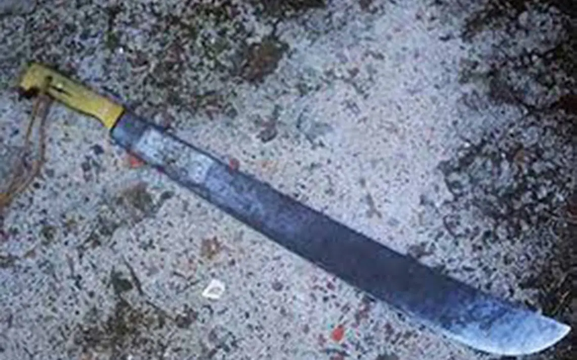 "El Ruso" atacó a su pareja con un machete y se quitó la vida