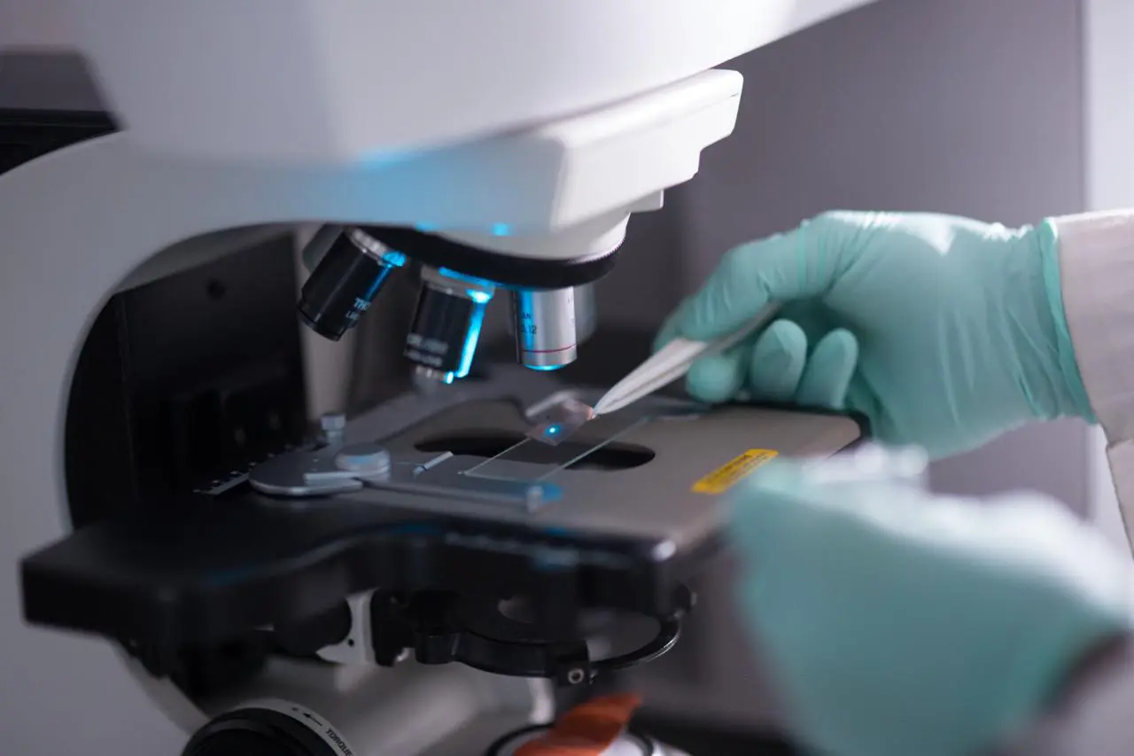 PUCMM, universidad privada que recibe más fondos para investigación