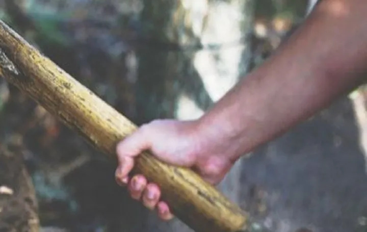 Deja por muerta a una mujer tras golpiza con un palo en Los Alcarrizos