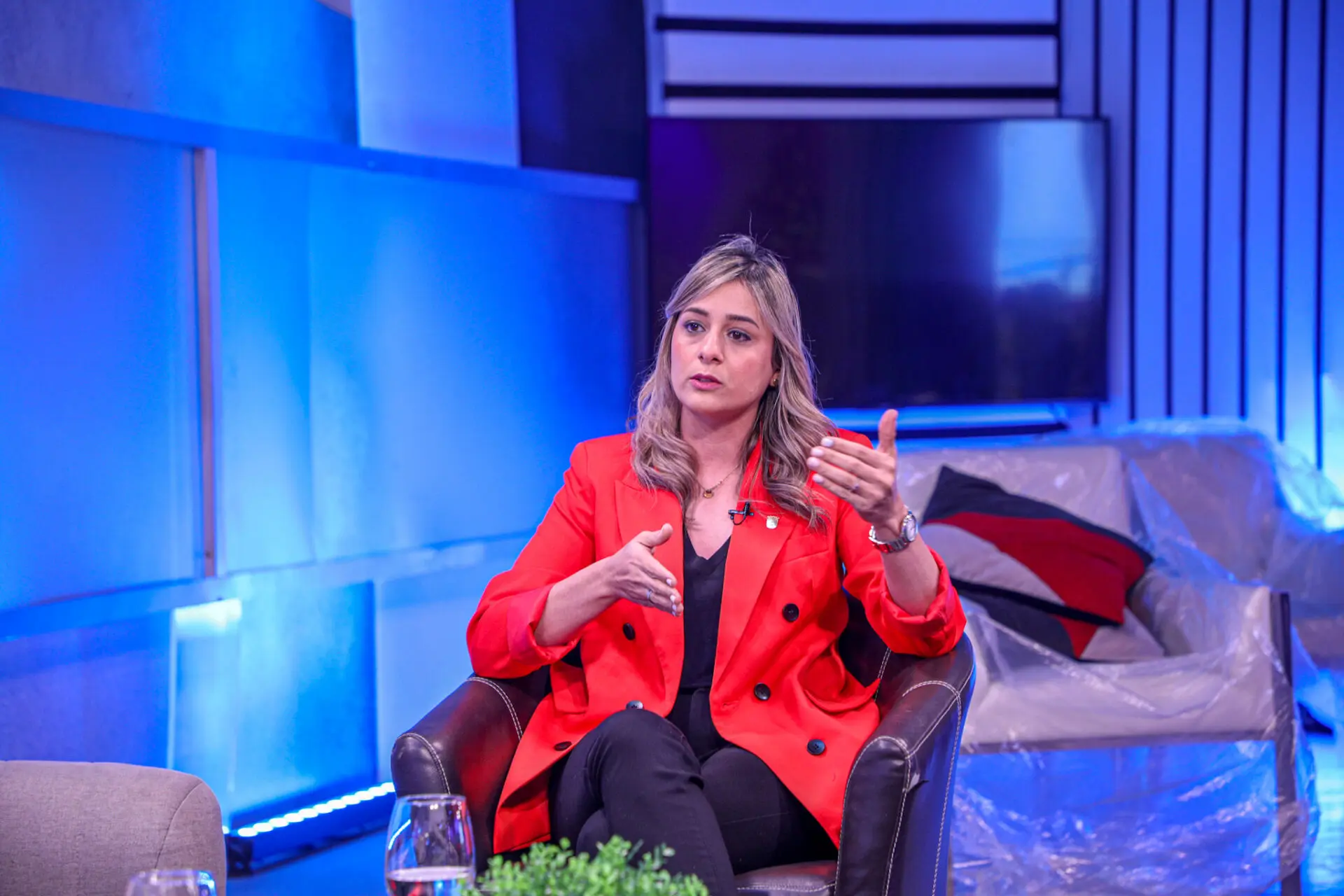 Dirigente del Partido Revolucionario Moderno (PRM), Liz Mieses