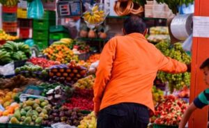 FAO: países ricos deben asumir impacto de la sostenibilidad en alimentos