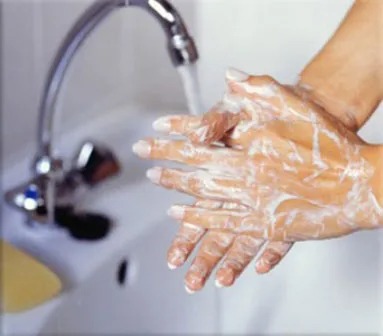 Salud Pública pide intensificar la higiene para prevenir cólera