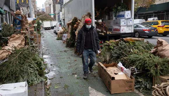 Nueva York recoge miles de árboles de navidad abandonados en las calles FOTO: FUENTE EXTERNA