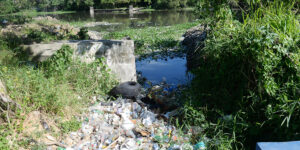 El agua sucia es una de las causantes del cólera. Félix de la Cruz