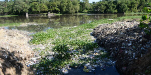 El agua sucia es uno de los elementos que originan la enfermedad. Félix de la Cruz