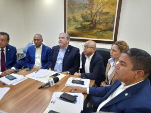 Diputados invitarán a JCE y otras entidades a reunión proyecto electoral