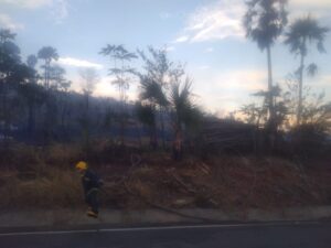 Incendios reducen totalmente a cenizas vivienda y finca en Línea Noroeste