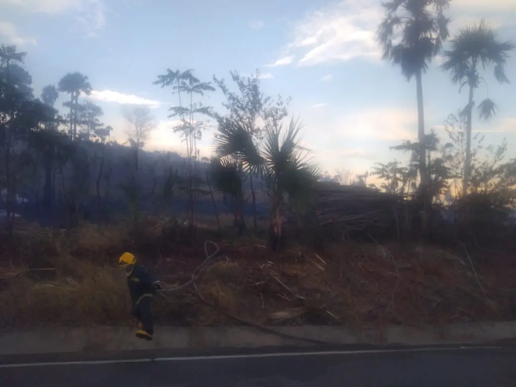Incendios reducen totalmente a cenizas vivienda y finca en Línea Noroeste