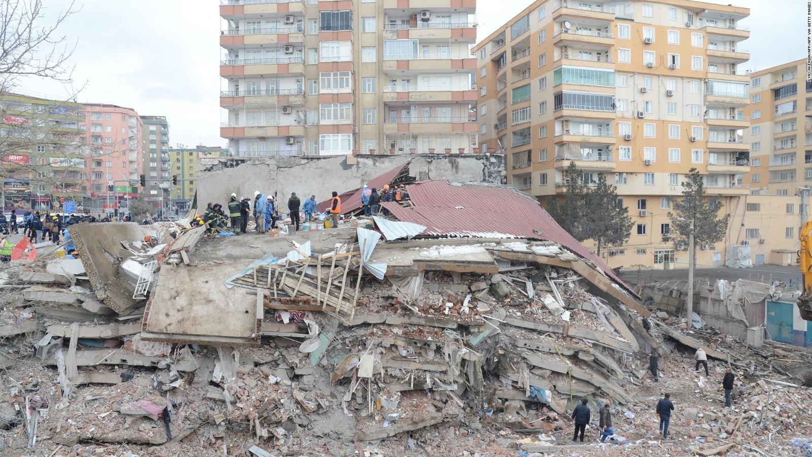 El olfato de un perro, la última esperanza de las víctimas del sismo