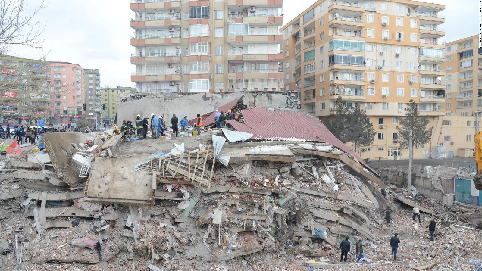 El olfato de un perro, la última esperanza de las víctimas del sismo