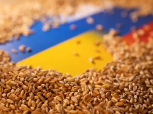 Ucrania acusa a Rusia de boicotear acuerdo para la exportación de grano